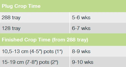 Croptime ToTo