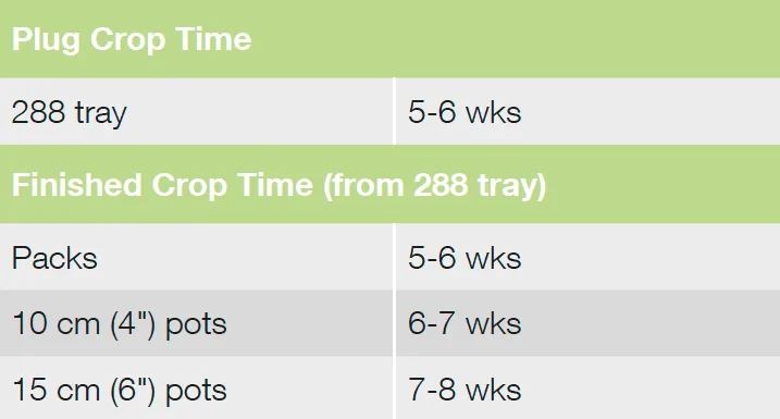 Croptime Zany