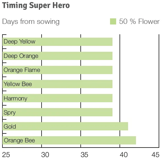 Timing Super Hero