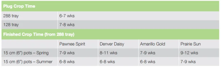 Crop Time Amarillo Gold