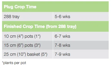 Crop Time Silver Surfer