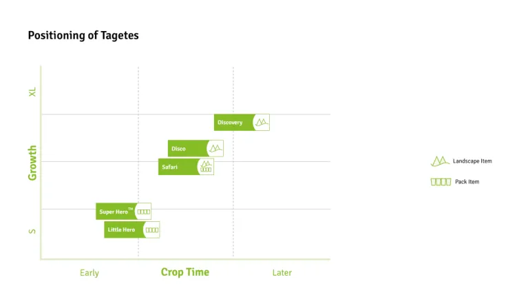Timing Charts Tagetes