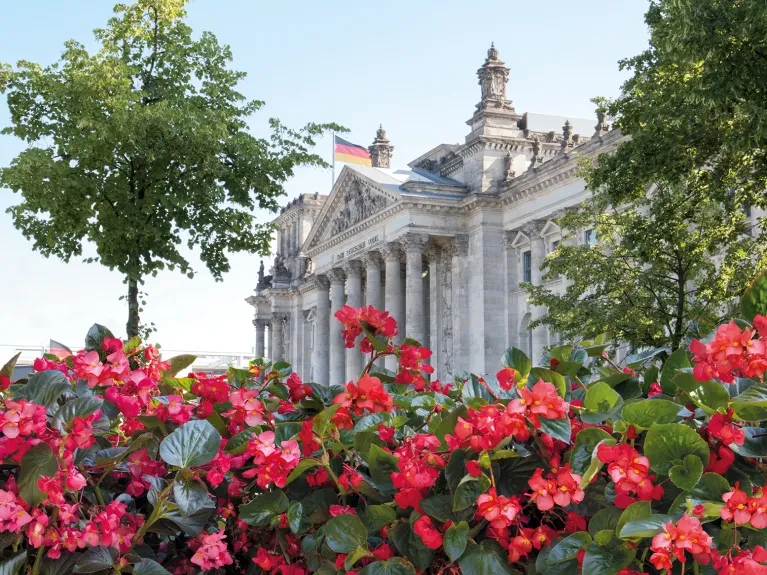 BIG Begonias in front of the German Reichstag