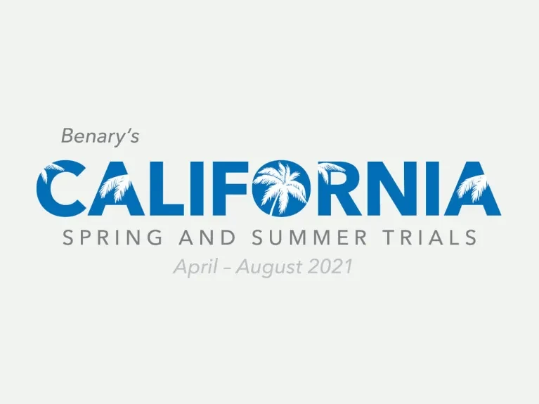 Benary's California Spring and Summer Trials 