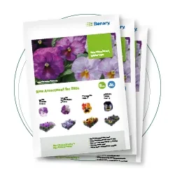 Inspire Plus 2024 Assortment