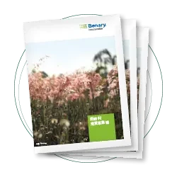 Leaflet Benary Grasses