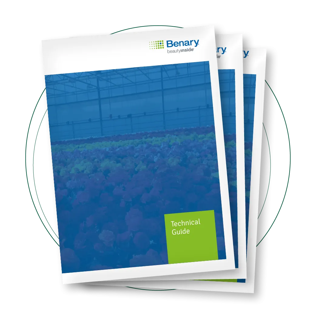 Technical Guide 2026