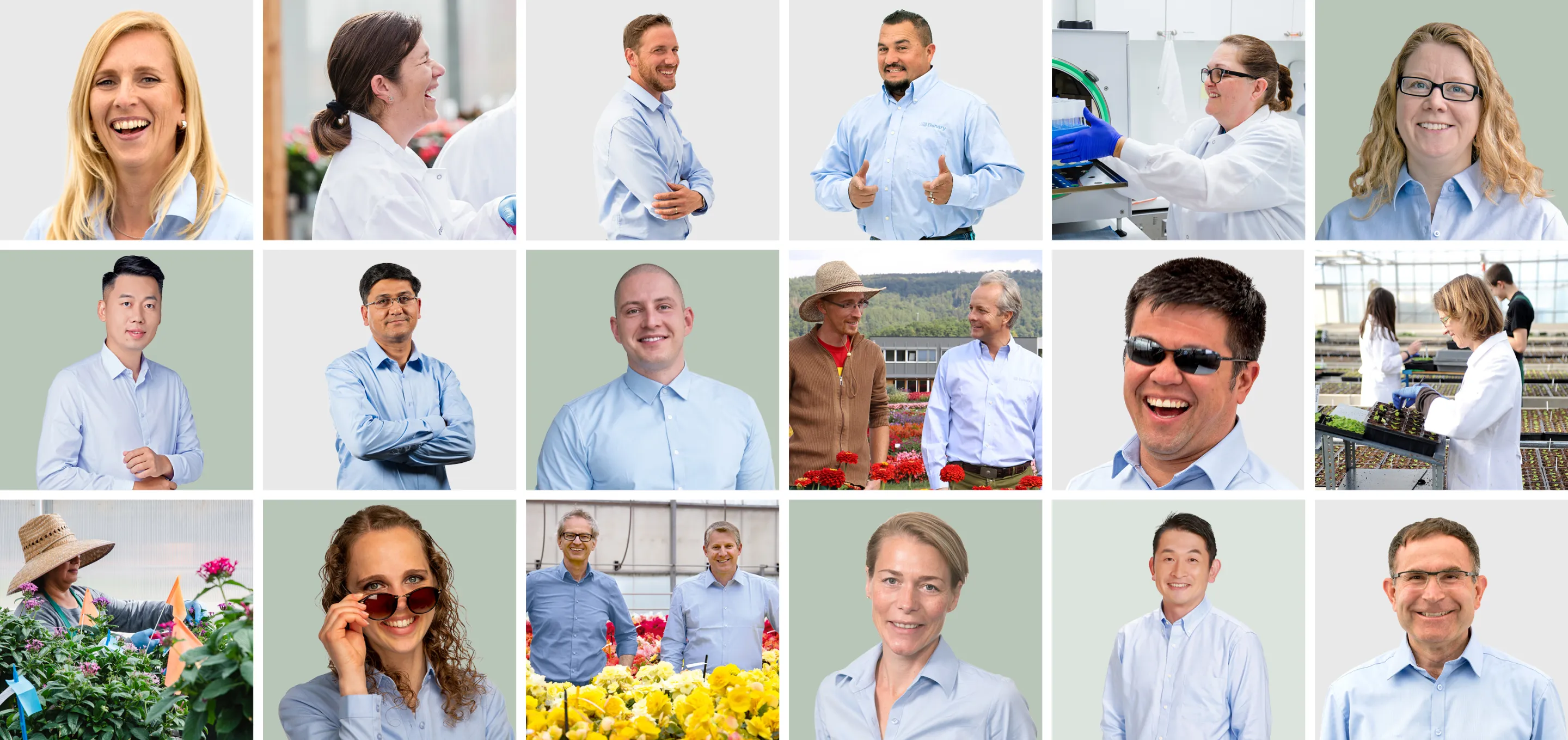Faces of Benary