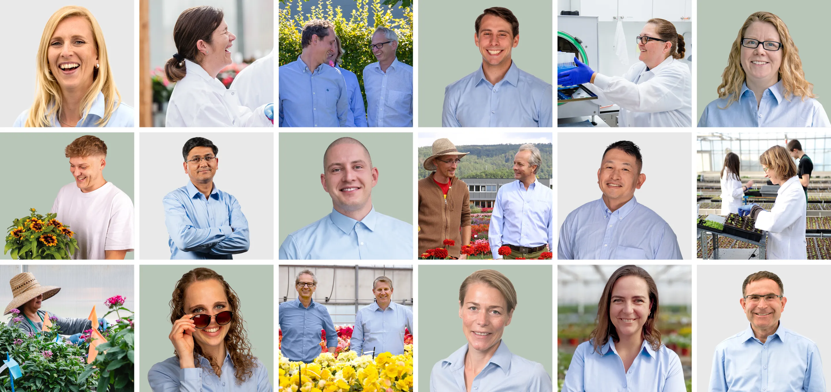 Faces of Benary 25