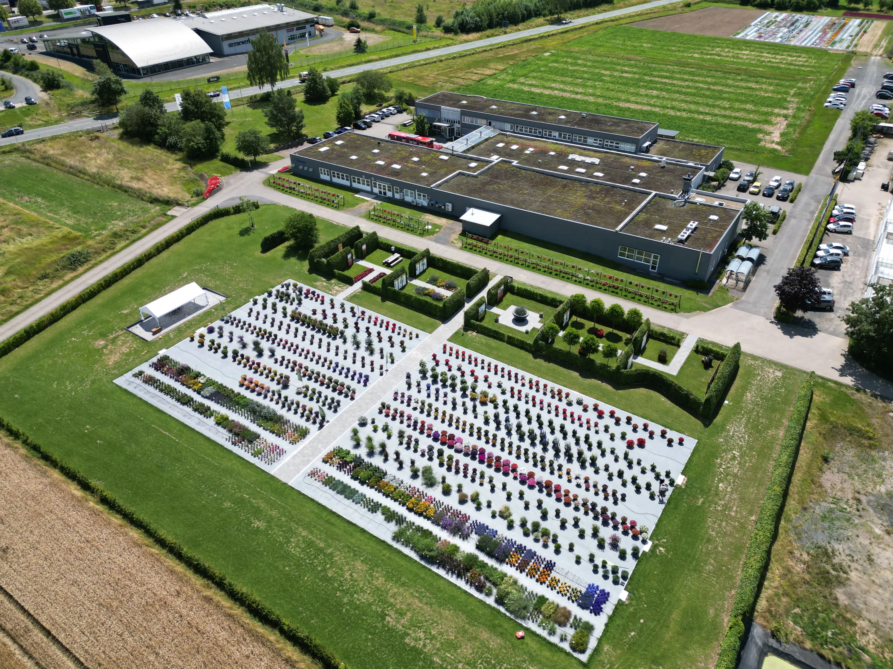 Benary Summer Garden
