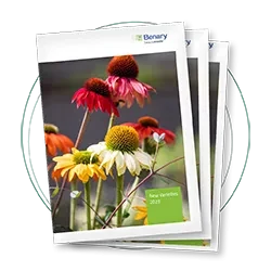 New Varieties 2023