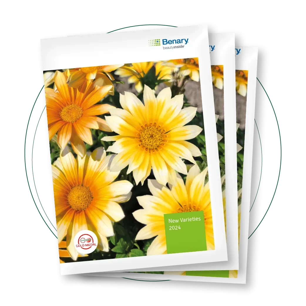 New Varieties 2024