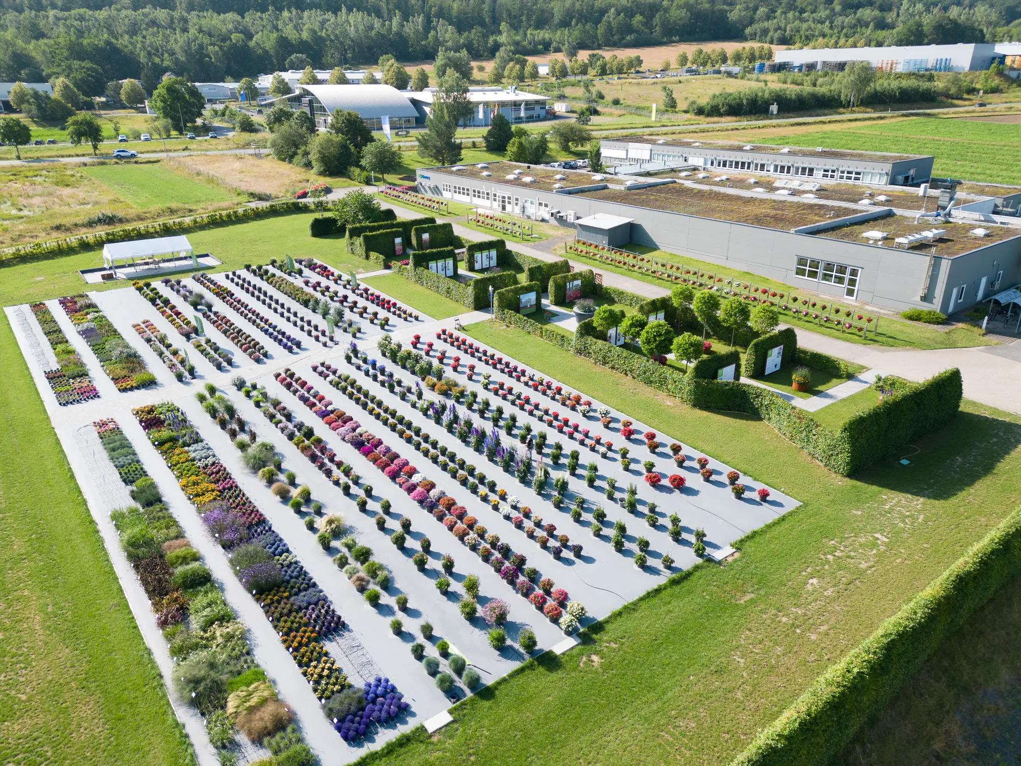 Summer Garden 2024