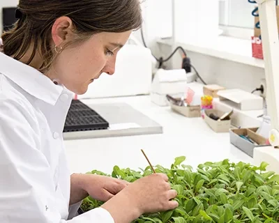 Seed Technology Seed Technology