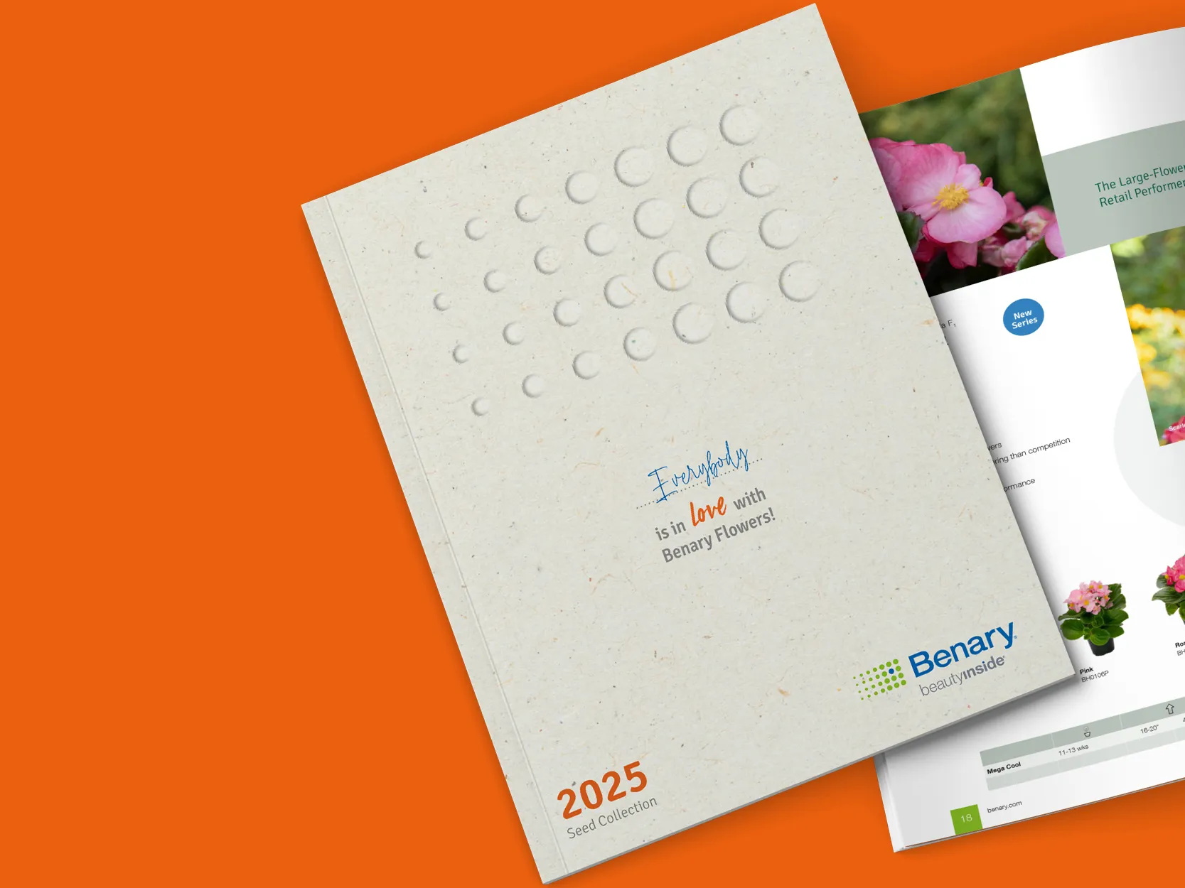 Seed Catalogue 2025